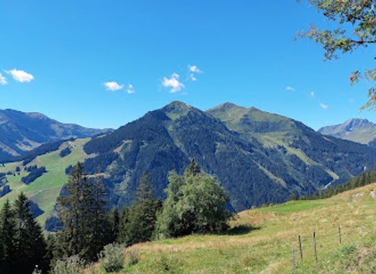 austria/saalbach-hinterglemm/attraction/expedition-kodok