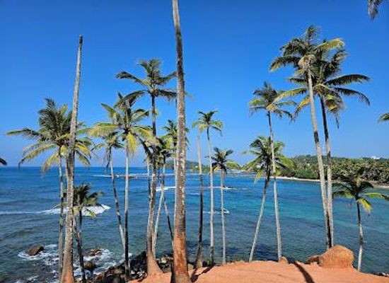 sri-lanka/hikkaduwa/attraction/coconut-tree-hill