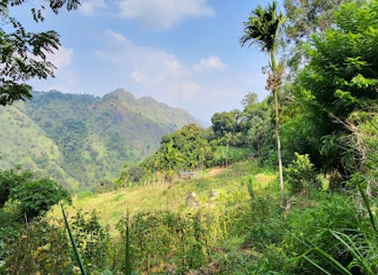 sri-lanka/uva-province/attraction/little-s-adams-peak-view-point