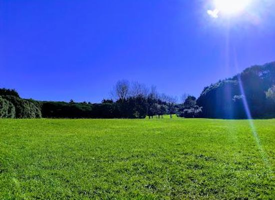 portugal/porto/attraction/parque-da-cidade-do-porto
