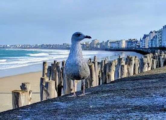 france/brittany/attraction/digue-du-sillon