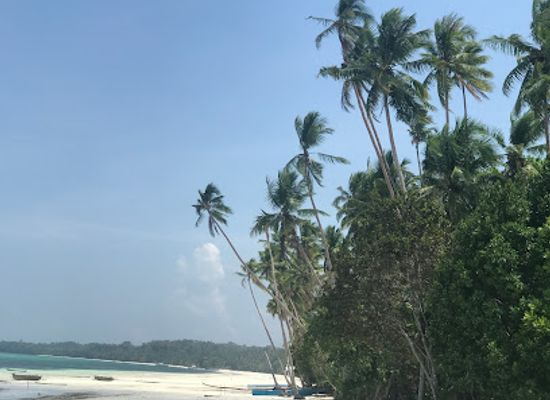 indonesia/maluku-islands/attraction/kei-pirate-divers