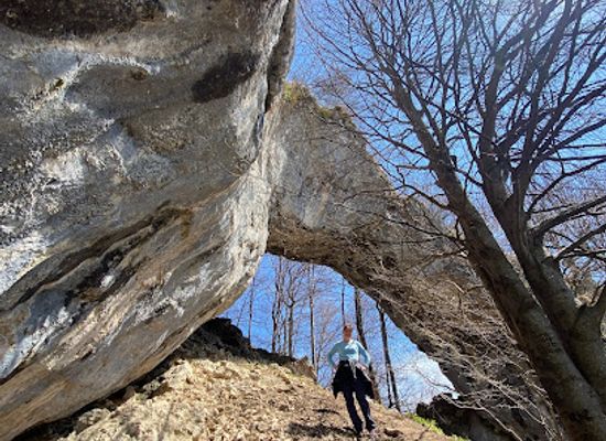romania/buila-vanturarita-national-park/attraction/fereastra-laurelor