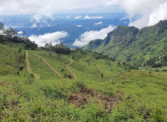 sri-lanka/horton-plains-national-park/attraction/devil-s-staircase-foot-trail