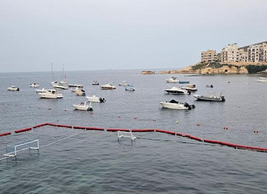 malta/marsalforn-bay/attraction/nautic-team-giant-tun-snail