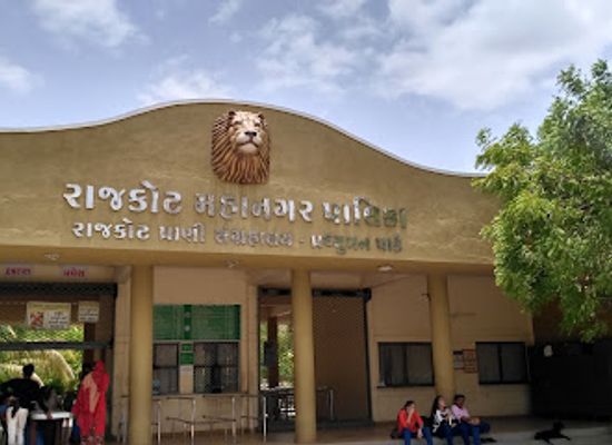 india/west-india/attraction/pradhyuman-zoological-park-rajkot
