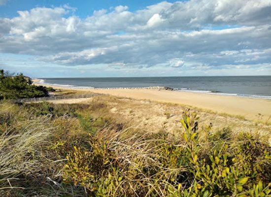 delaware/the-atlantic-coastal-plain/attraction/cape-henlopen-state-park