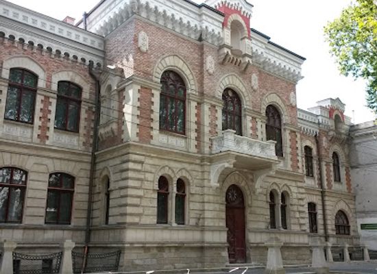moldova/chisinau-county/attraction/national-museum-of-fine-arts-of-moldova