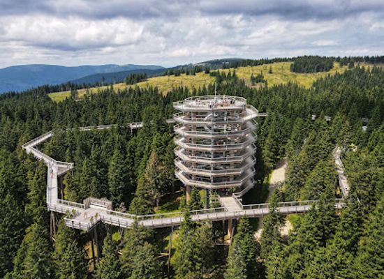 slovenia/southeast-slovenia/attraction/pot-med-krosnjami-pohorje