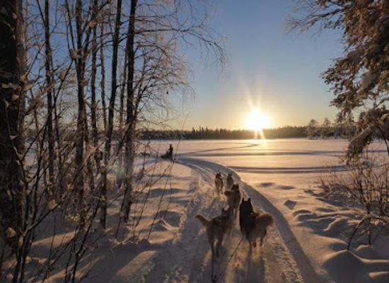 sweden/lapland/attraction/team-arctic-melody