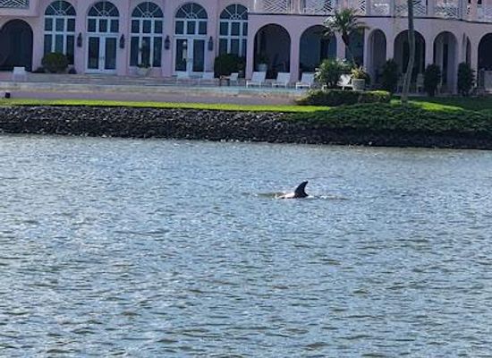 florida/sanibel-island/attraction/pure-florida