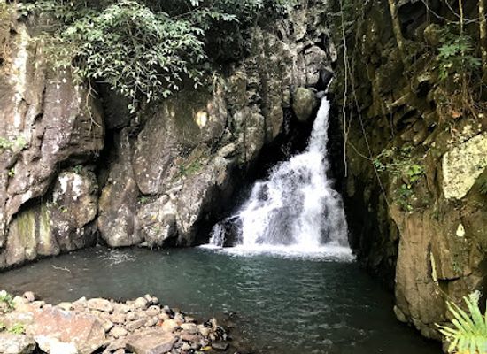 philippines/visayas/attraction/7th-falls-mambukal