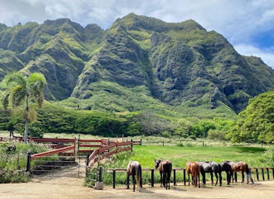 marshall-islands/mili/attraction/kualoa-ranch