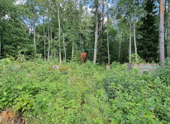 finland/oulu/attraction/environmental-art-trail-pikinen-poloku