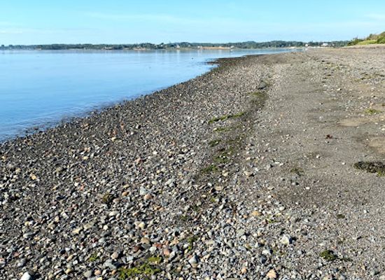 maine/washington-county/attraction/mowry-beach-preserve