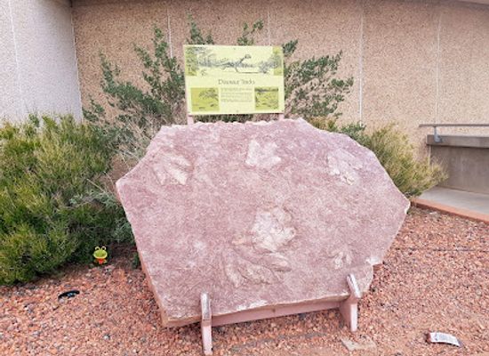 arizona/antelope-canyon/attraction/dinosaur-tracks