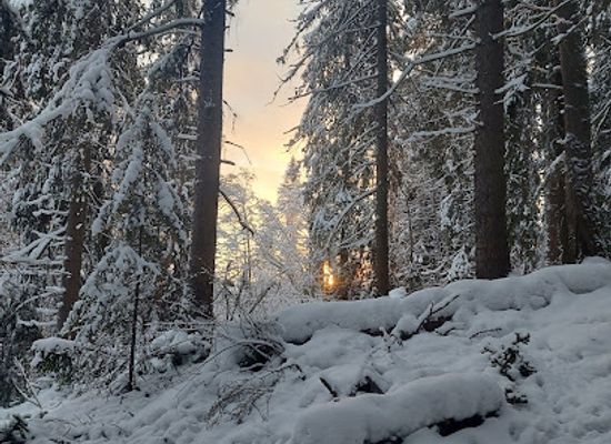 sweden/ostersund/attraction/mjallestigen