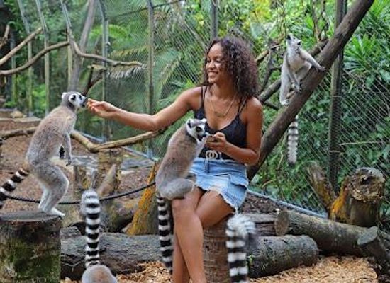 mauritius/flic-en-flac/attraction/la-vanille-nature-park