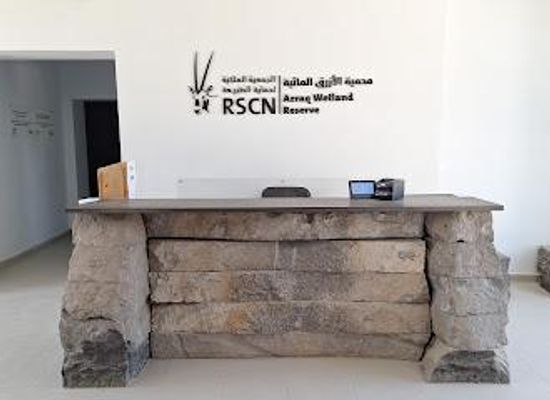 jordan/azraq/attraction/azraq-wetlands-reserve
