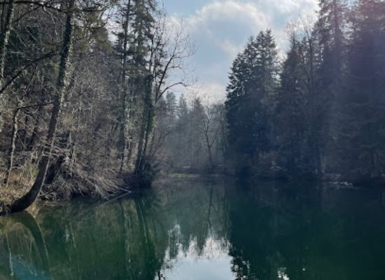 switzerland/thurgau/attraction/waldsee-farenbachtobel