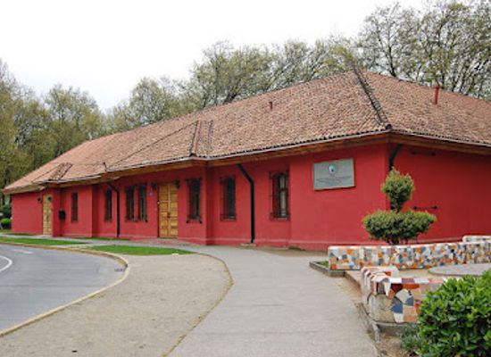 chile/biobio-region/attraction/museo-de-historia-natural