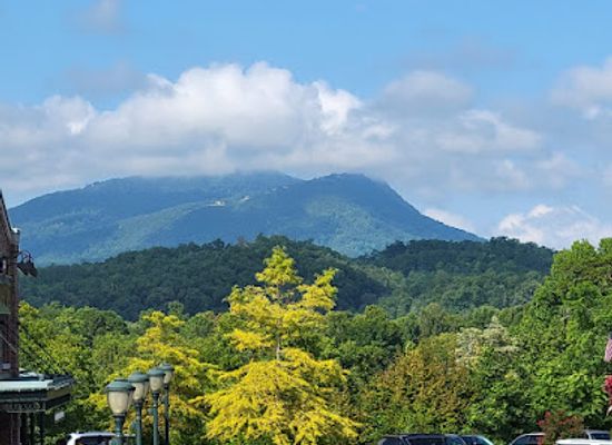 tennessee/cades-cove/attraction/titanic-museum-attraction
