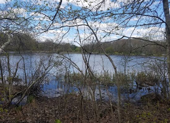 rhode-island/washington-county/attraction/tri-pond-nature-center