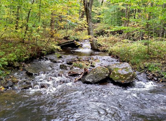 vermont/bennington-county/attraction/bromley-mountain-long-trail