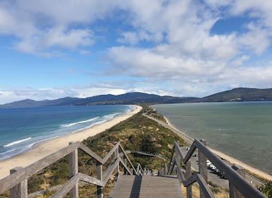 australia/tasmania/attraction/bruny-island-neck-game-reserve