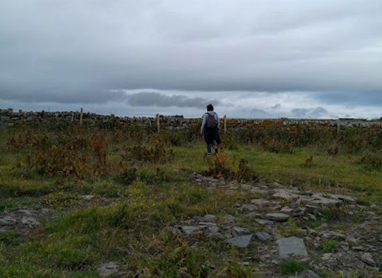 united-kingdom/caithness/attraction/whitegate-broch