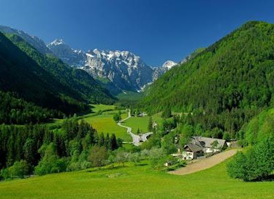 slovenia/kamnik/attraction/logar-valley