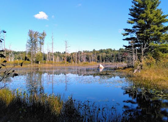 massachusetts/worcester-county/attraction/mass-audubon-waseeka-wildlife-sanctuary