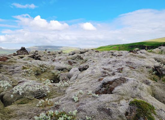 iceland/highlands/attraction/skaftareldahraun