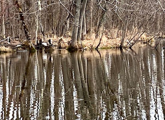 wisconsin/western-uplands/attraction/menasha-conservancy-area