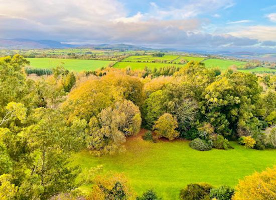 ireland/county-wicklow/attraction/treetop-walk-viewing-tower-entrance