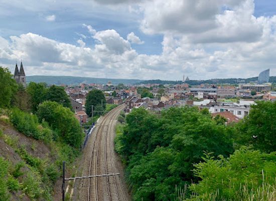 belgium/pays-de-herve/attraction/parc-de-la-chartreuse