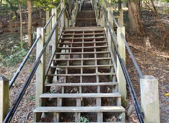 michigan/holland/attraction/mount-baldhead-park