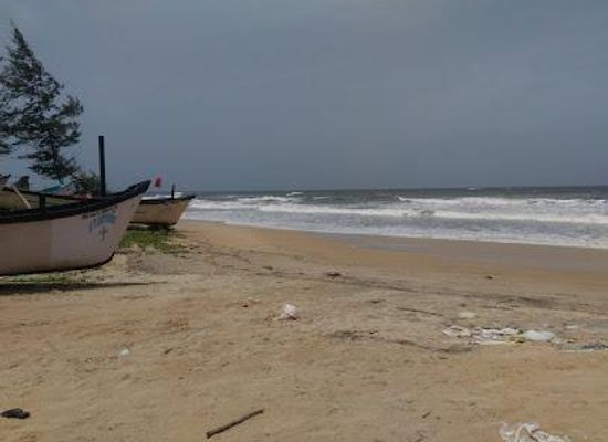 india/goa/attraction/benaulim-beach