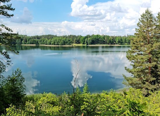 poland/suwalszczyzna/attraction/wigierska-kolej-waskotorowa