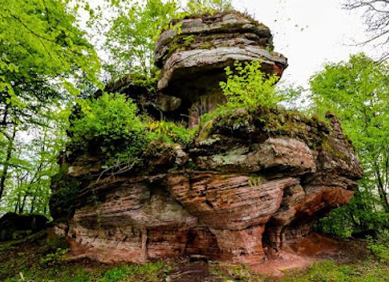 germany/moselle/attraction/chateau-de-rothenbourg