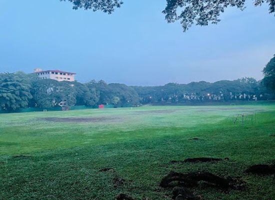 philippines/national-capital-region-ncr/attraction/up-sunken-garden