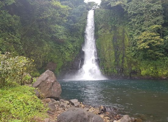 equatorial-guinea/bioko-island/attraction/reserva-cientifica-de-la-caldera-de-san-carlos