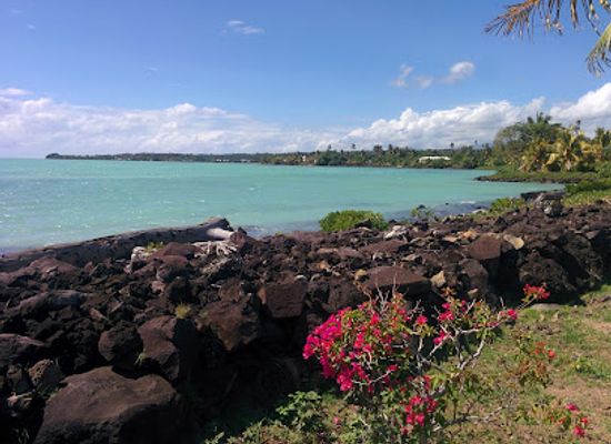 samoa/piula-cave-pool/attraction/malua-turtle-feeding-pool