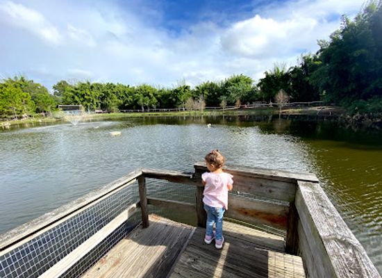 florida/tampa-bay-area/attraction/horsepower-for-kids-animal-sanctuary