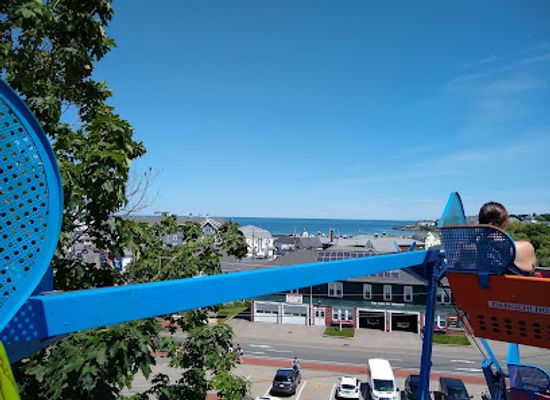 maine/ogunquit/attraction/york-s-wild-kingdom