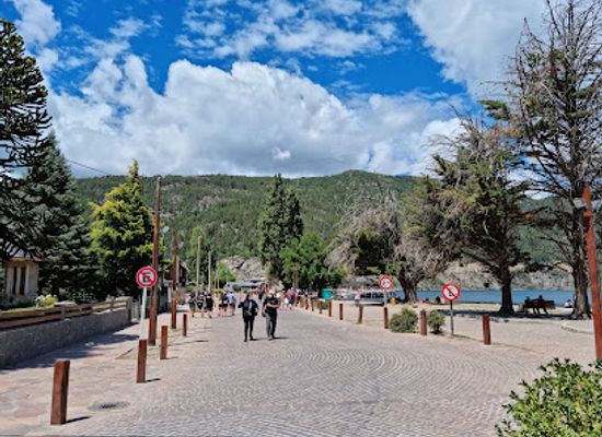 chile/patagonia/attraction/lake-lacar-waterfront