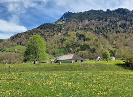 switzerland/fribourg/attraction/gruyere-district