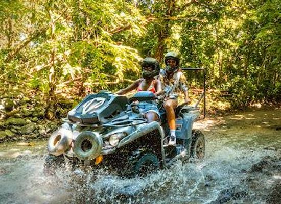 puerto-rico/luquillo/attraction/carabali-rainforest-park