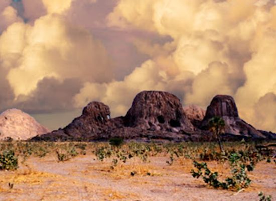 chad/moyen-chari/attraction/manda-national-park