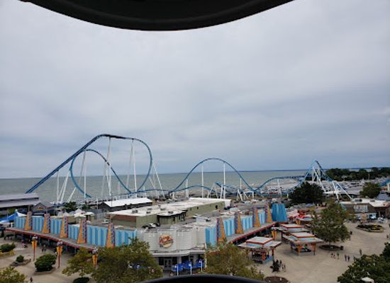 ohio/lake-erie-islands/attraction/raptor
